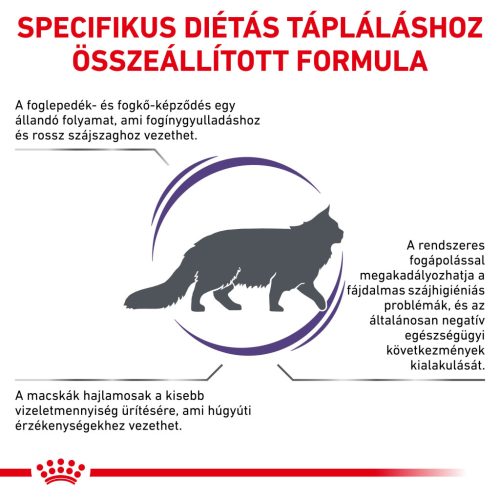 Royal Canin Veterinary Dental szájhigiénia fenntartása száraz macskaeledel 1,5kg