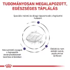 Royal Canin Veterinary Dental szájhigiénia fenntartása száraz macskaeledel 1,5kg
