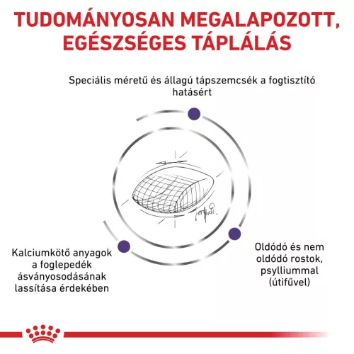 Royal Canin Veterinary Dental szájhigiénia fenntartása száraz macskaeledel 1,5kg