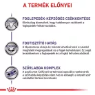 Royal Canin Veterinary Dental szájhigiénia fenntartása száraz macskaeledel 1,5kg