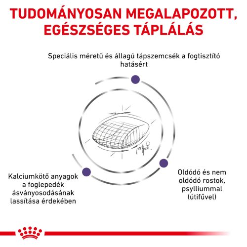 Royal Canin Veterinary Dental szájhigiénia fenntartása száraz macskaeledel 1,5kg