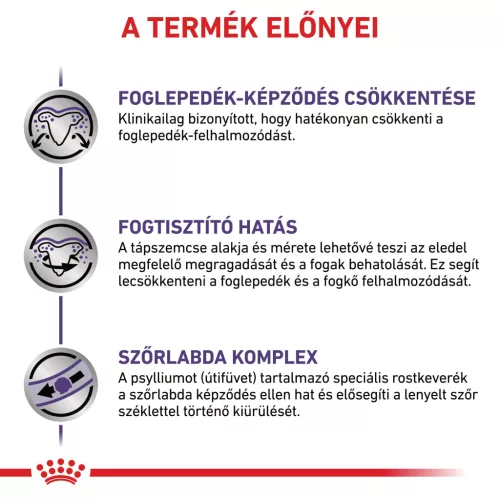 Royal Canin Veterinary Dental szájhigiénia fenntartása száraz macskaeledel 1,5kg