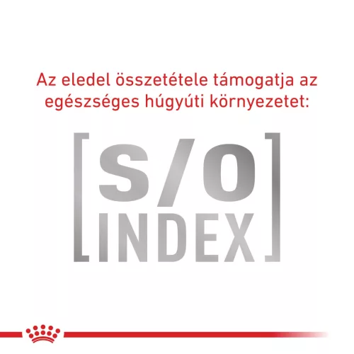 Royal Canin Veterinary Dental szájhigiénia fenntartása száraz macskaeledel 1,5kg