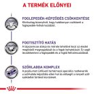 Royal Canin Veterinary Dental szájhigiénia fenntartása száraz macskaeledel 1,5kg