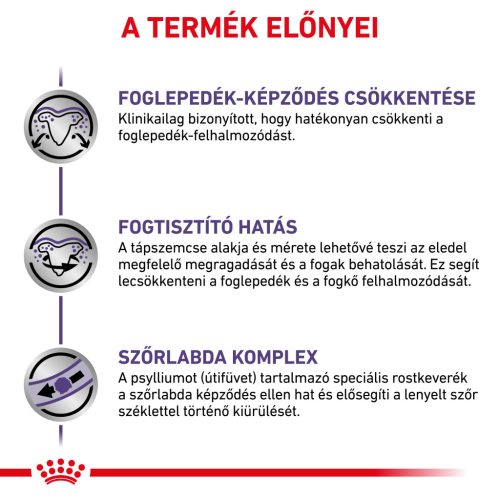 Royal Canin Veterinary Dental szájhigiénia fenntartása száraz macskaeledel 1,5kg