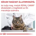 Royal Canin Veterinary Dental szájhigiénia fenntartása száraz macskaeledel 1,5kg