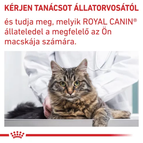 Royal Canin Veterinary Dental szájhigiénia fenntartása száraz macskaeledel 1,5kg