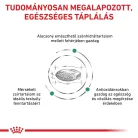 Royal Canin Veterinary Diabetic cukorbeteg száraz kutyaeledel 7kg
