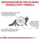 Royal Canin Veterinary Gastrointestinal hairball szőrlabda ellen száraz macskaeledel  400g