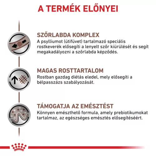 Royal Canin Veterinary Gastrointestinal hairball szőrlabda ellen száraz macskaeledel  400g