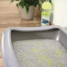 Premiere Excellent macskaalom szagtalanító granulátum citrom illattal 250g
