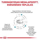 Royal Canin Veterinary Anallergenic hipoallergén száraz kutyaeledel 8kg