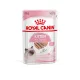 Royal Canin Feline Health Nutrition macska tasak Kitten loaf 12x85g