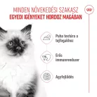 Royal Canin Feline Health Nutrition macska tasak Kitten loaf 12x85g
