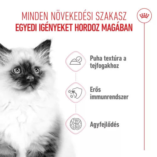 Royal Canin Feline Health Nutrition macska tasak Kitten loaf 12x85g