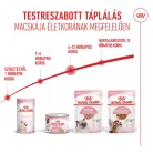 Royal Canin Feline Health Nutrition macska tasak Kitten loaf 12x85g