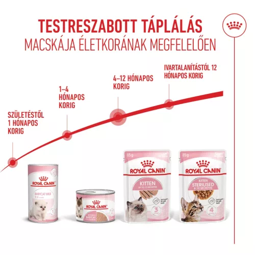 Royal Canin Feline Health Nutrition macska tasak Kitten loaf 12x85g