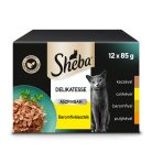 Sheba macska tasak MP szárnyas 12x85g