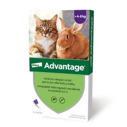   Advantage bolha elleni spot-on 4kg feletti macskáknak 1x0,8ml