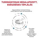 Royal Canin Veterinary Anallergenic hipoallergén száraz macskaeledel 2kg