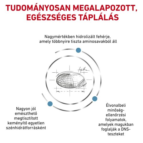 Royal Canin Veterinary Anallergenic hipoallergén száraz macskaeledel 2kg
