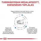 Royal Canin Veterinary Anallergenic hipoallergén száraz macskaeledel 2kg