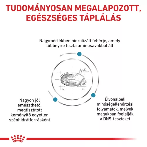Royal Canin Veterinary Anallergenic hipoallergén száraz macskaeledel 2kg