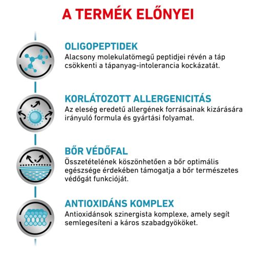 Royal Canin Veterinary Anallergenic hipoallergén száraz macskaeledel 2kg