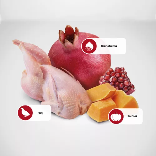 N&D Pumpkin Fürj & Gránátalma Ivartalanított Száraz Macsakeledel 300g