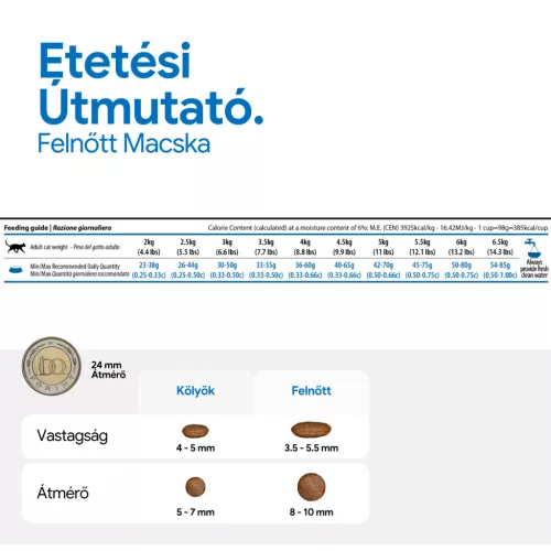 N&D Quinoa Skin & Coat Hering Száraz Macskaeledel 300g