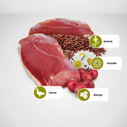 N&D Quinoa Urinary Kacsa Száraz Macskaeledel 300g