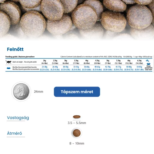 N&D Quinoa Skin & Coat Hering Száraz Macskaeledel 1,5kg