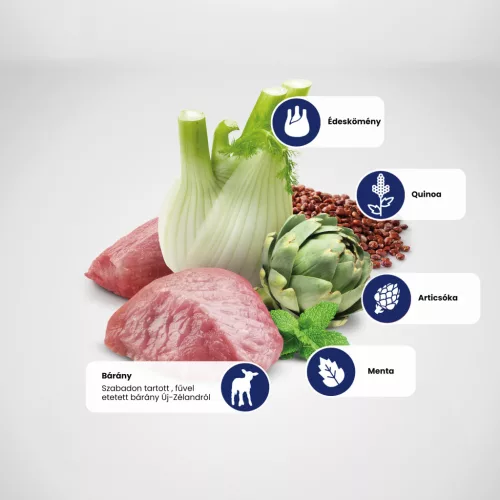 N&D Quinoa Digestion Bárány Száraz Macskaeledel 1,5kg