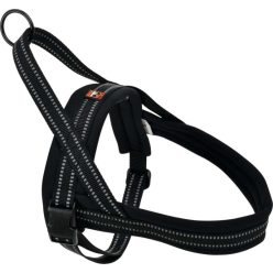 Dogs Creek Norwegian kutya hám fekete M