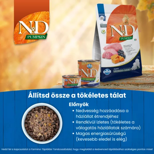 N&D Pumpkin Bárány & Áfonya Kölyök Mini Száraz Kutyaeledel 800g