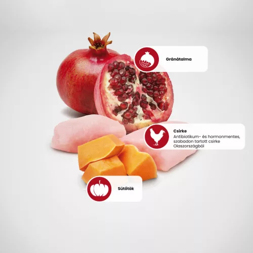 N&D Pumpkin Csirke & Gránátalma Felnőtt Mini Száraz Kutyaeledel 800g