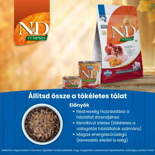 N&D Pumpkin Csirke & Gránátalma Felnőtt Mini Száraz Kutyaeledel 800g