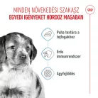 Royal Canin Size Health Nutrition Medium puppy kutya tasak 10x140g