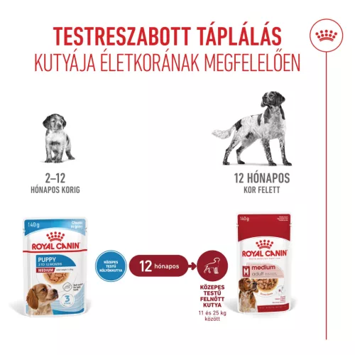 Royal Canin Size Health Nutrition Medium puppy kutya tasak 10x140g
