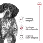 Royal Canin Size Health Nutrition Medium adult kutya tasak 10x140g