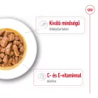 Royal Canin Size Health Nutrition Medium adult kutya tasak 10x140g