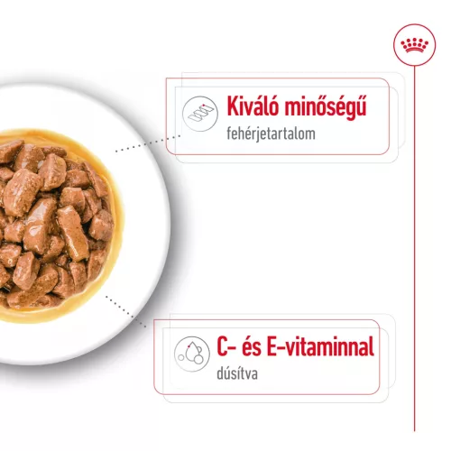 Royal Canin Size Health Nutrition Medium adult kutya tasak 10x140g
