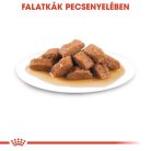 Royal Canin Size Health Nutrition Medium adult kutya tasak 10x140g