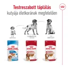 Royal Canin Size Health Nutrition Medium adult kutya tasak 10x140g