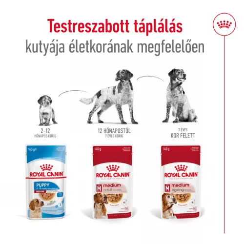 Royal Canin Size Health Nutrition Medium adult kutya tasak 10x140g