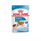 Royal Canin Size Health Nutrition kutya tasak mini puppy 12x85g