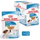 Royal Canin Size Health Nutrition kutya tasak mini puppy 12x85g