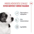 Royal Canin Size Health Nutrition kutya tasak mini puppy 12x85g