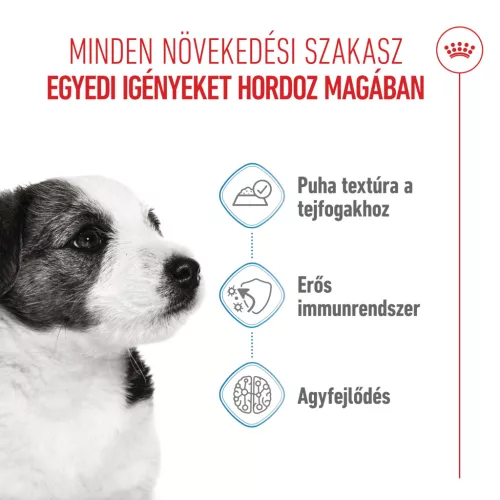 Royal Canin Size Health Nutrition kutya tasak mini puppy 12x85g