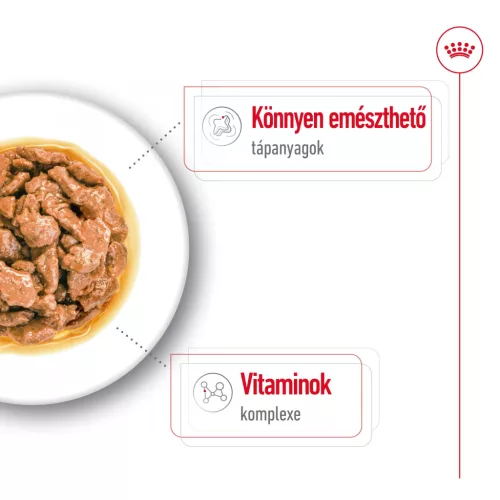 Royal Canin Size Health Nutrition Mini adult kutya tasak 12x85g